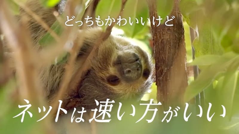 「本気で速いぞDMM光!!」篇