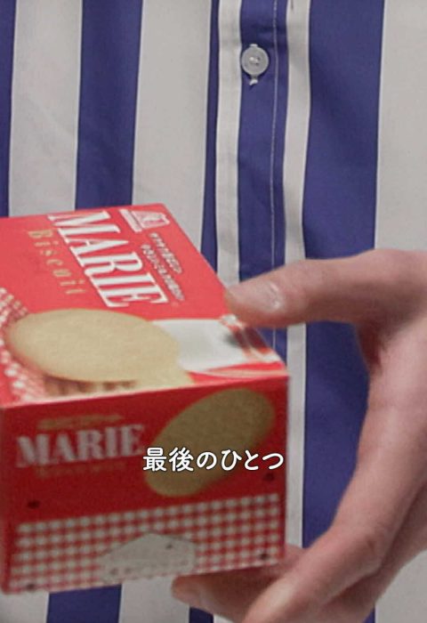 541172988_1753199285319232_4175209098536040660_n